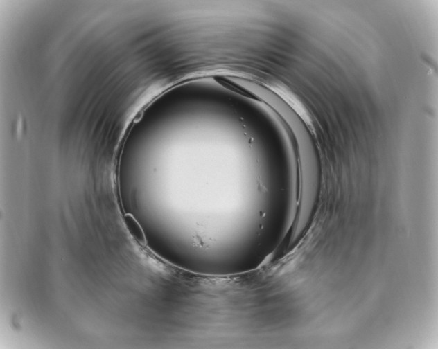 X0000096490813200802071941