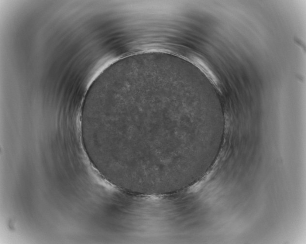 X0000096490814200802071941