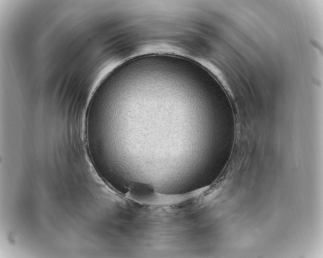 X0000096490815200802071941