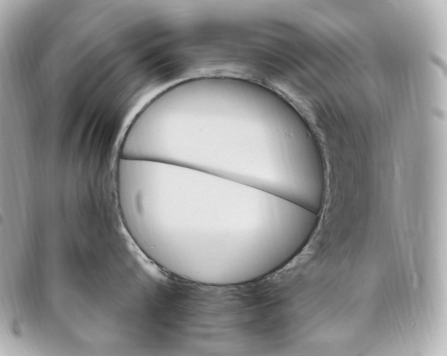 X0000096490816200802071941