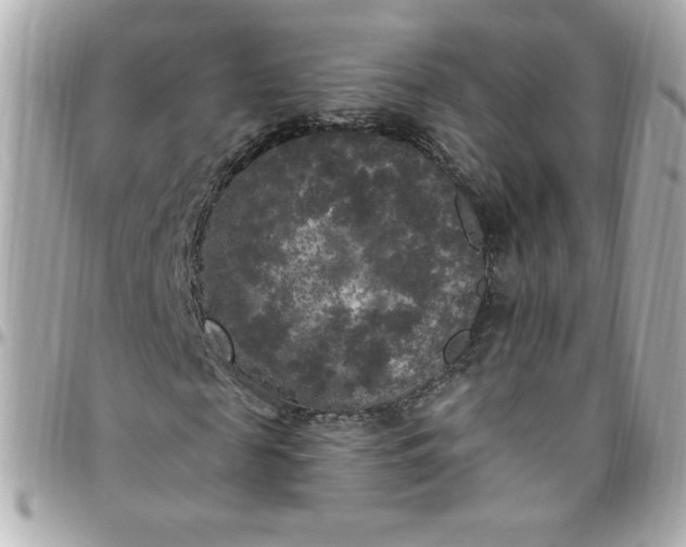 X0000096490817200802071940