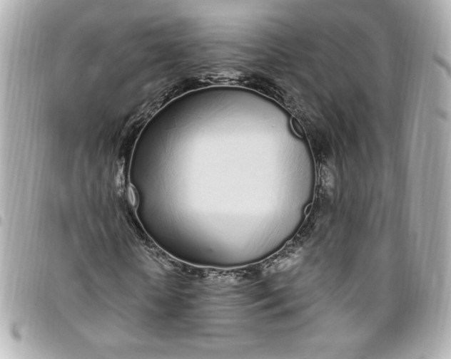 X0000096490818200802071940