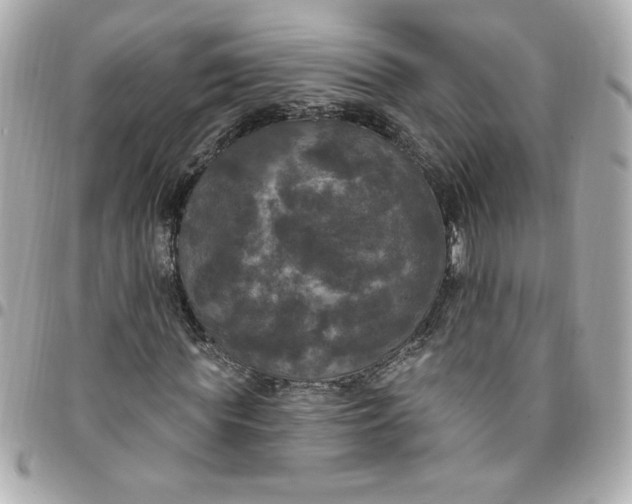 X0000096490819200802071940