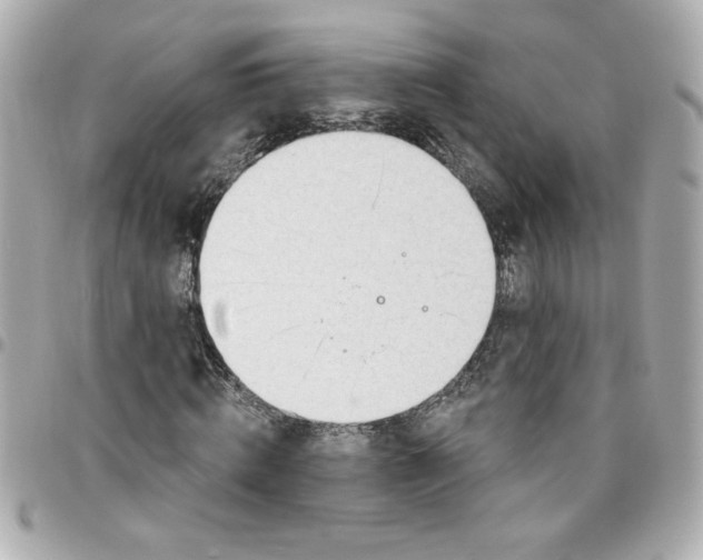 X0000096490820200802071940