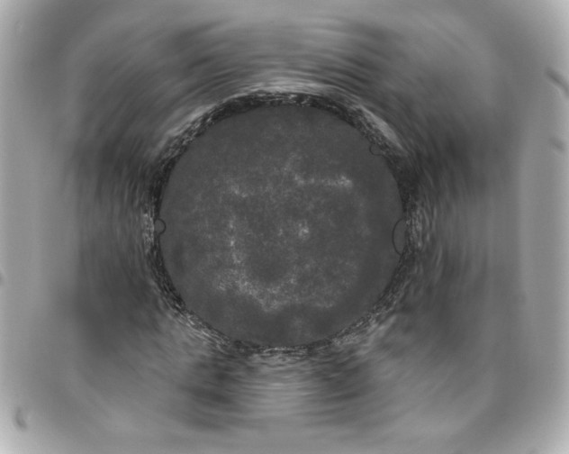 X0000096490821200802071940