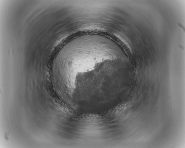 X0000096490823200802071940