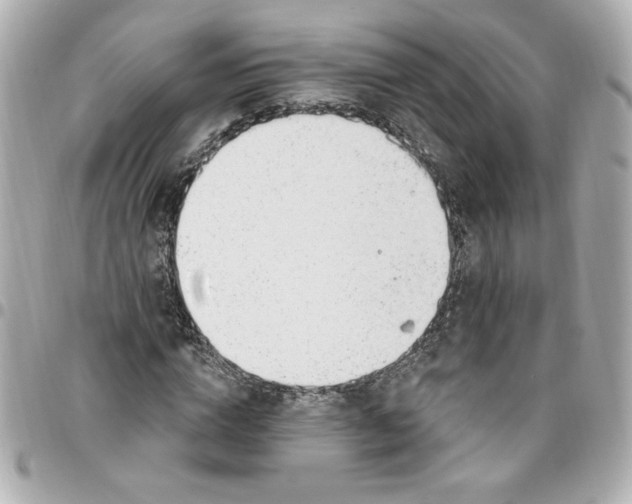 X0000096490824200802071940