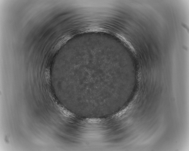 X0000096490825200802071940