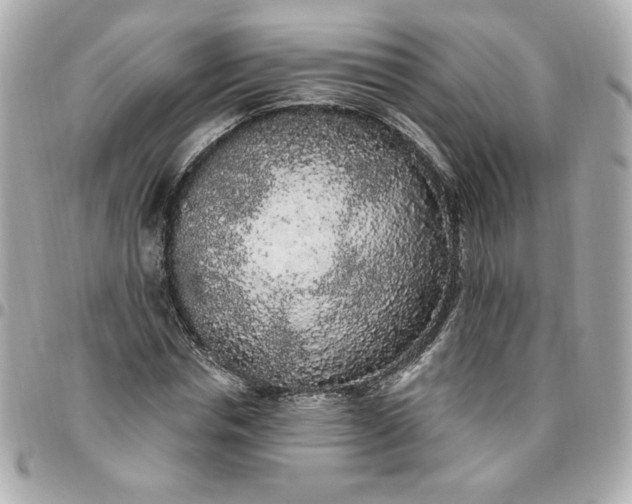 X0000096490826200802071940