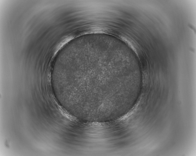 X0000096490827200802071940