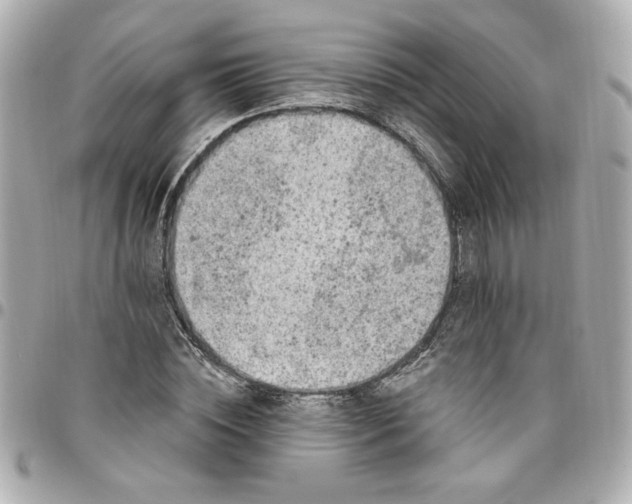 X0000096490828200802071940