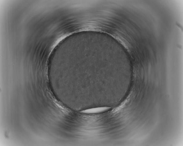 X0000096490830200802071940