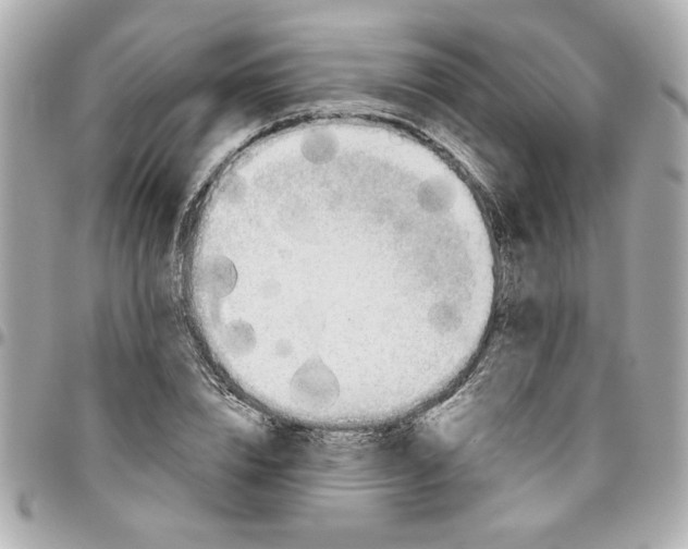 X0000096490832200802071940