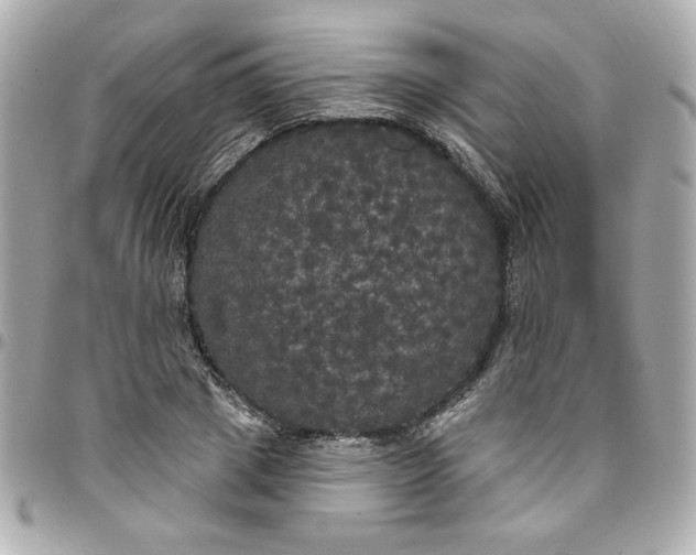 X0000096490833200802071940