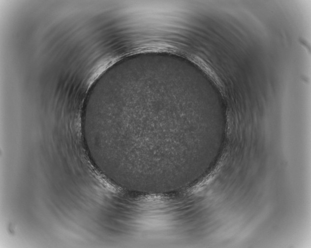 X0000096490834200802071940