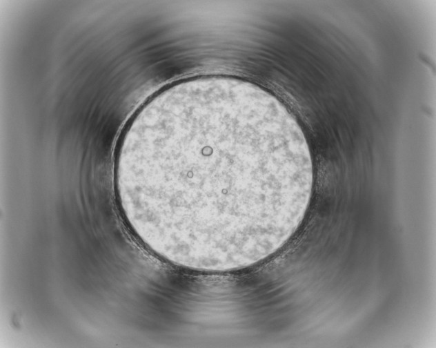 X0000096490836200802071940