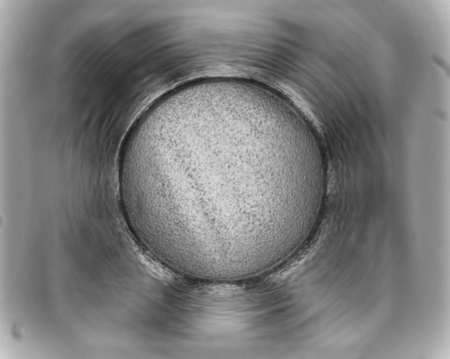 X0000096490837200802071940