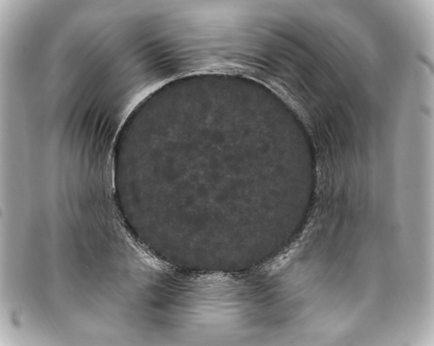 X0000096490838200802071940