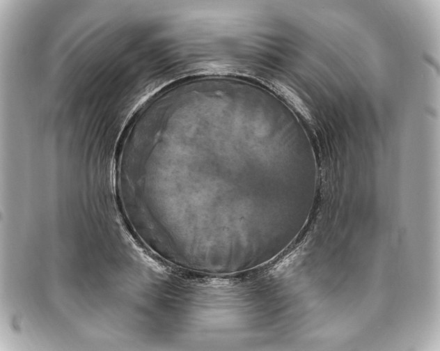 X0000096490839200802071940