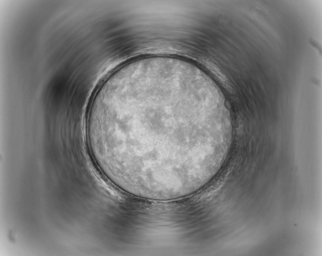 X0000096490840200802071940