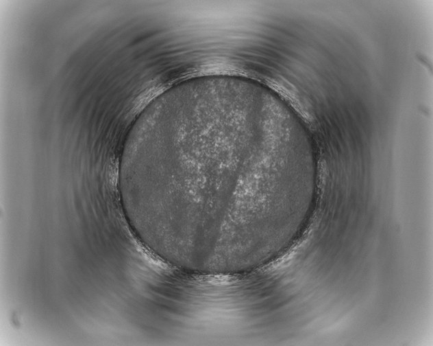 X0000096490841200802071940