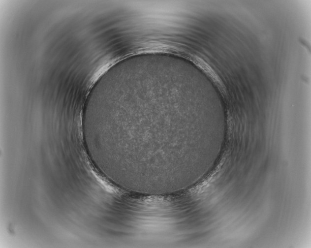 X0000096490842200802071940