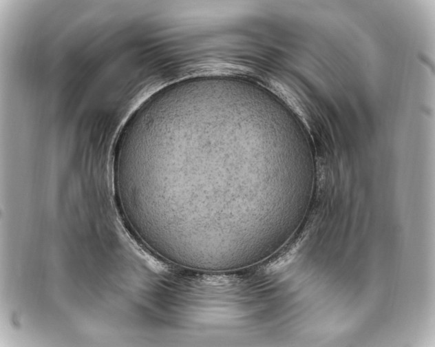 X0000096490843200802071941