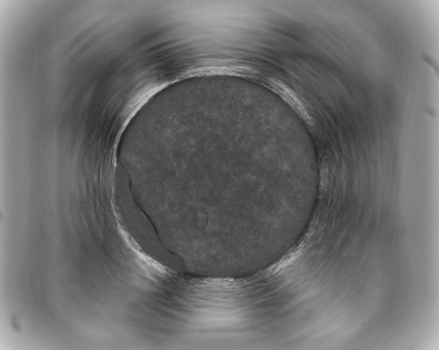 X0000096490844200802071941