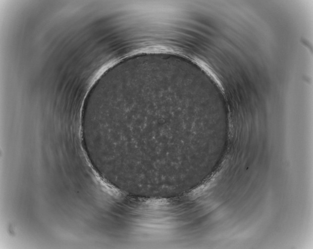 X0000096490845200802071941