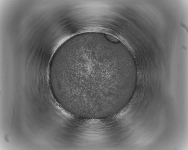 X0000096490846200802071941