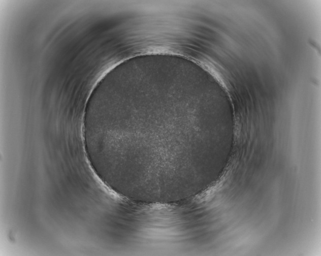 X0000096490847200802071941