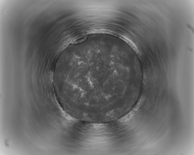 X0000096490849200802071941