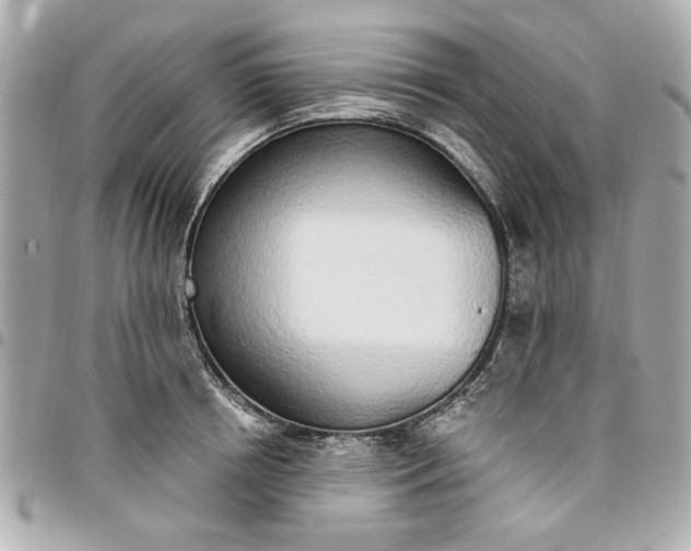 X0000096490850200802071941