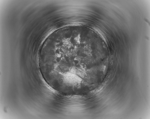 X0000096490851200802071941