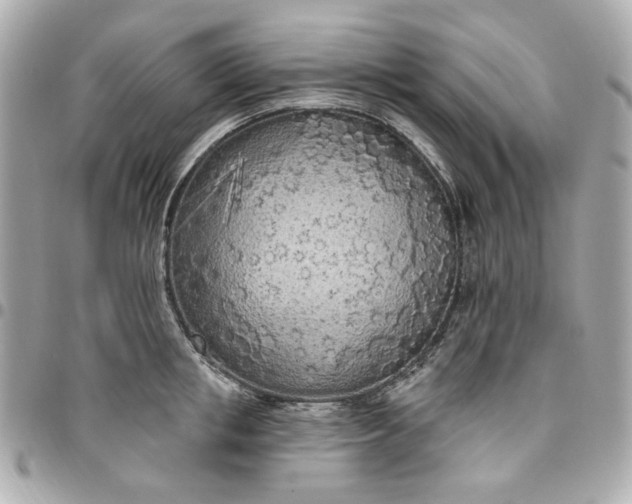 X0000096490853200802071941