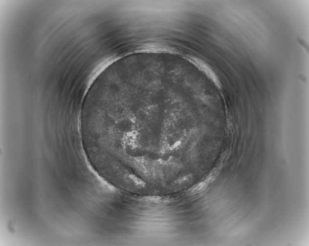 X0000096490855200802071941