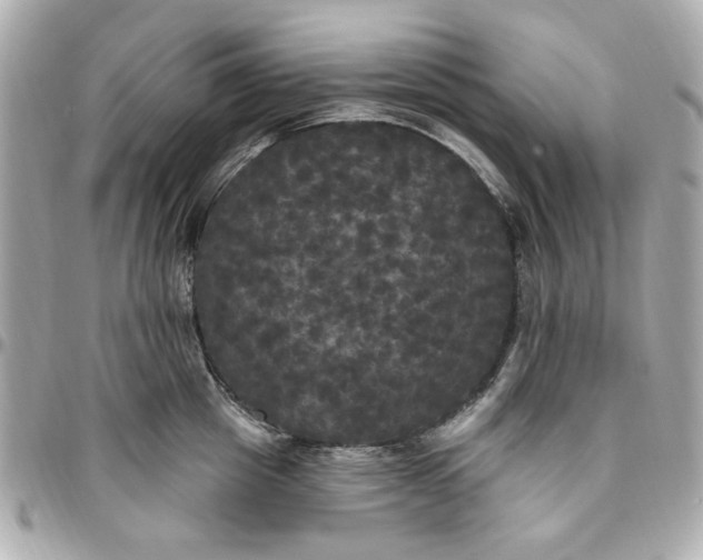 X0000096490857200802071941