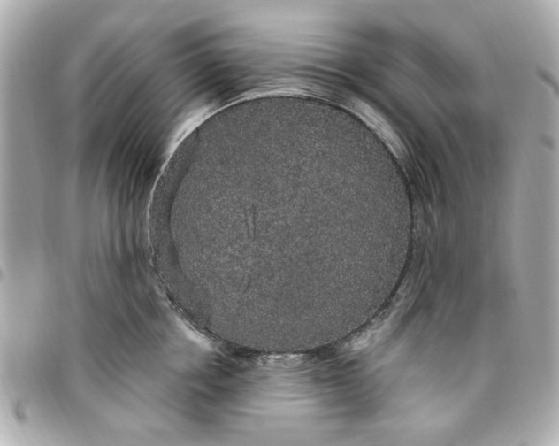 X0000096490858200802071941