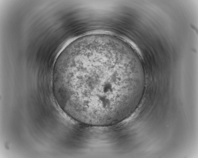 X0000096490860200802071941