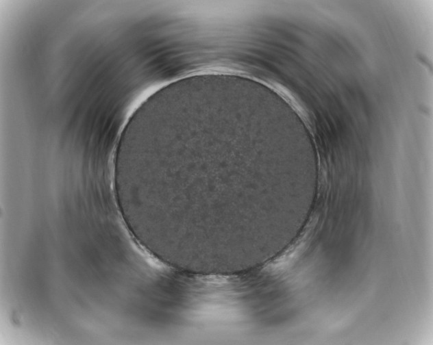 X0000096490862200802071941