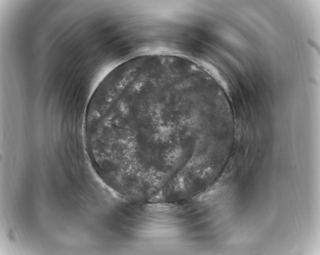 X0000096490863200802071941