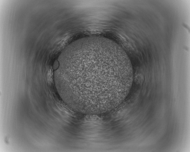 X0000096490866200802071940