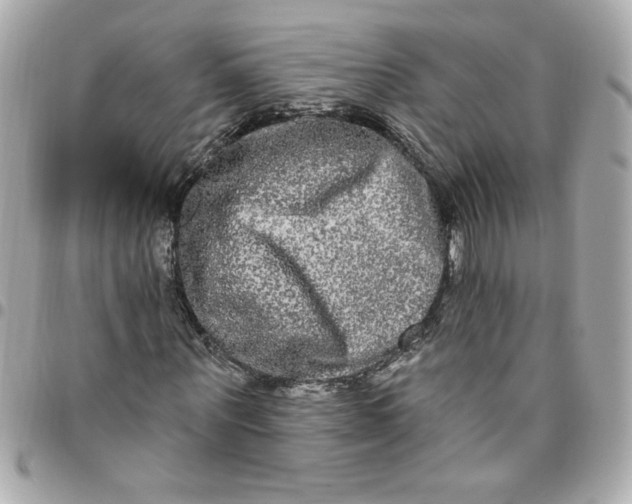 X0000096490867200802071940