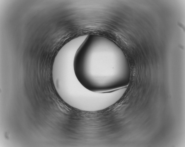 X0000096490868200802071940