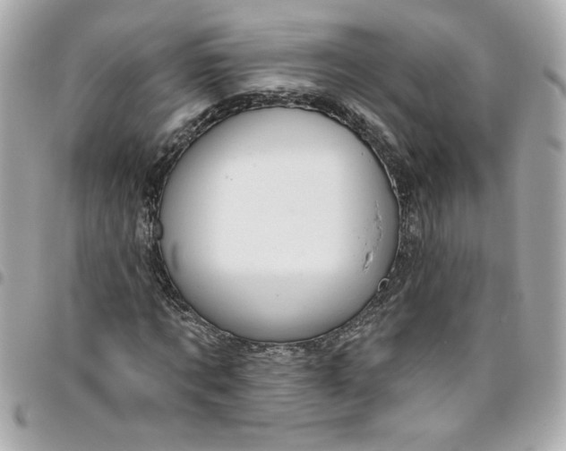 X0000096490869200802071940