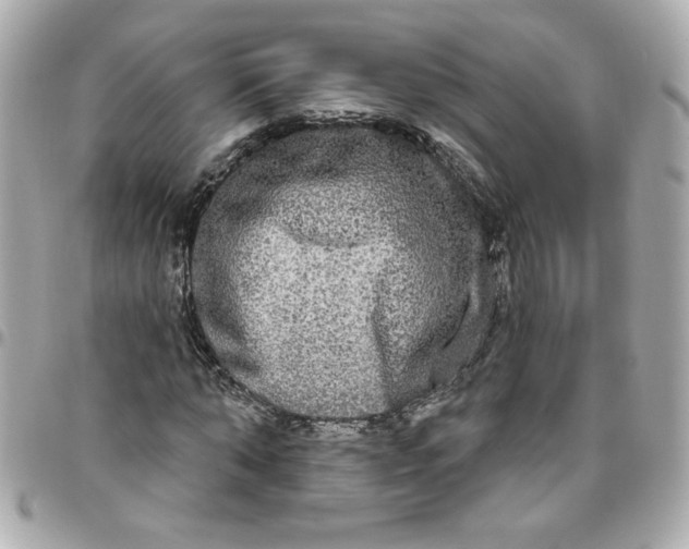 X0000096490870200802071940