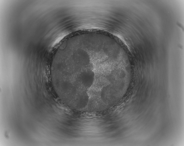 X0000096490871200802071940