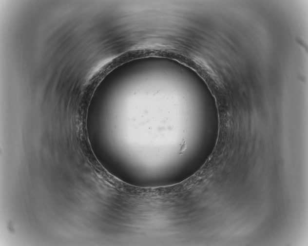 X0000096490872200802071940