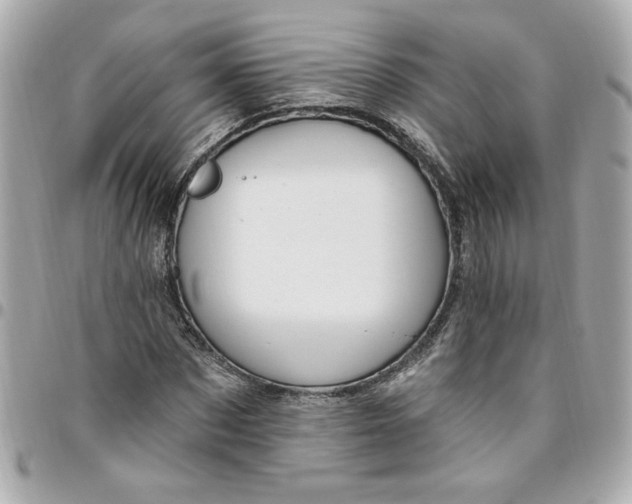 X0000096490873200802071940