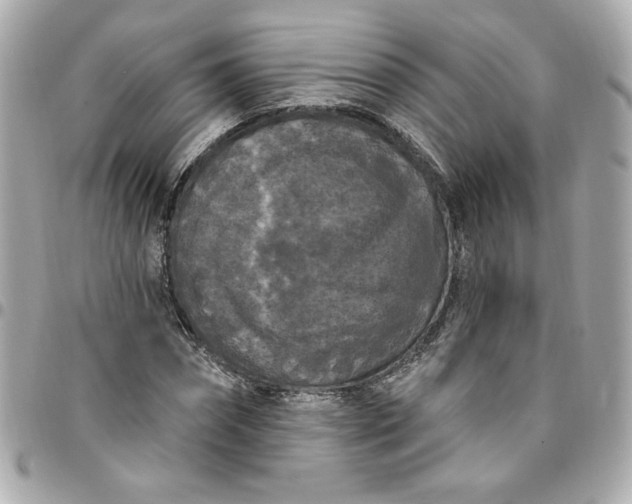 X0000096490874200802071940